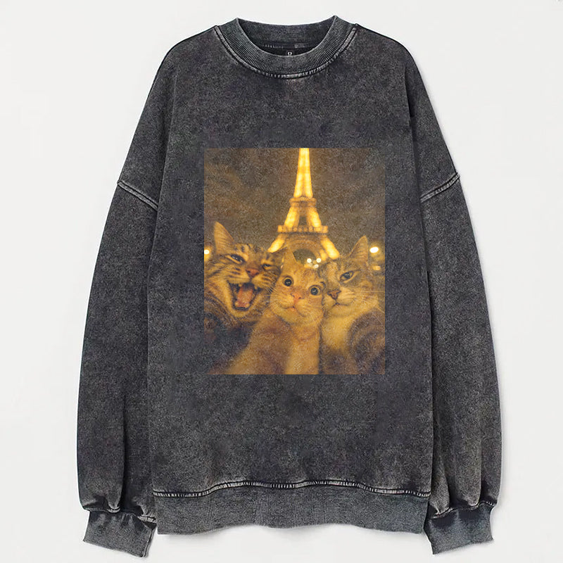 Cat Taking Selfie with Eiffel Tower Funny T-Shirt